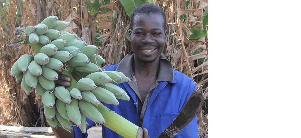 廃棄されていた資源を活かす