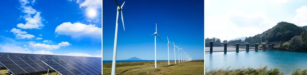 グリーン電力とは